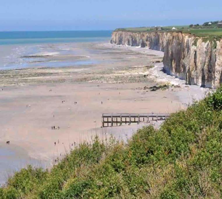Superbe Appartement Entre Mer Et Ville Dieppe Bagian luar foto